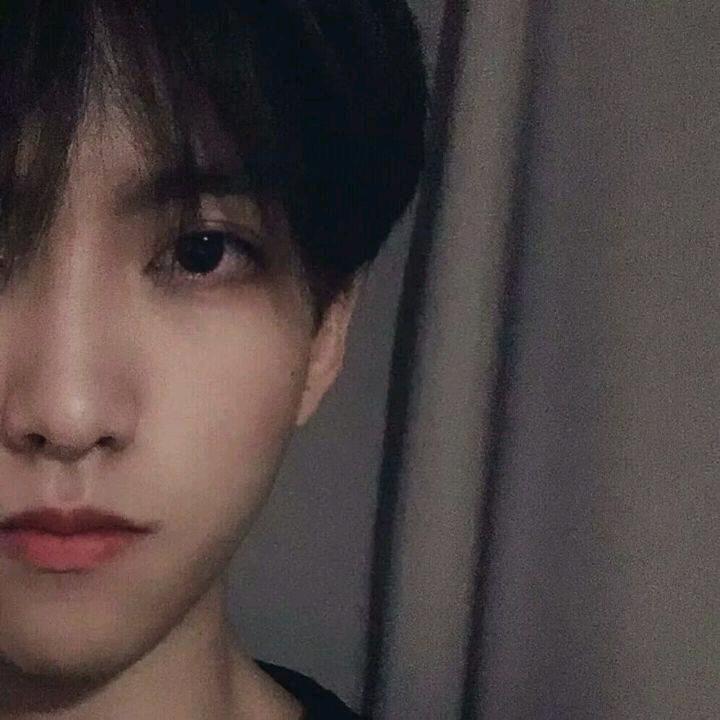 不揺碧莲