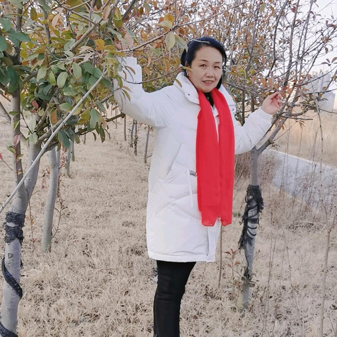 夕阳无限好