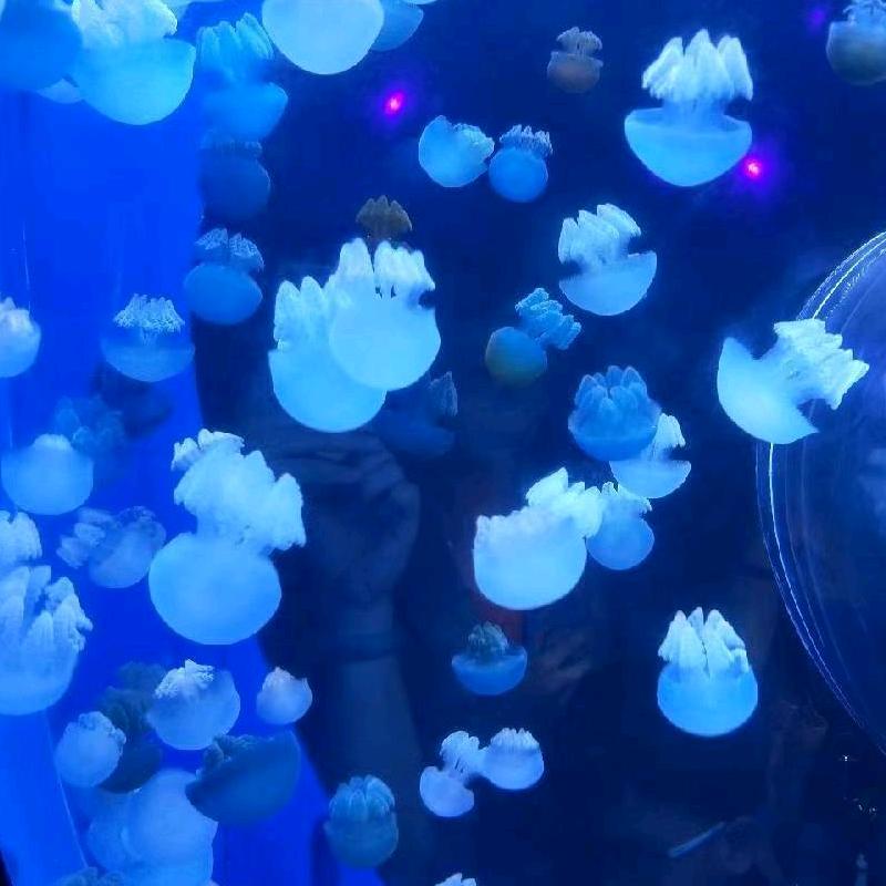 扯淡的青春7788