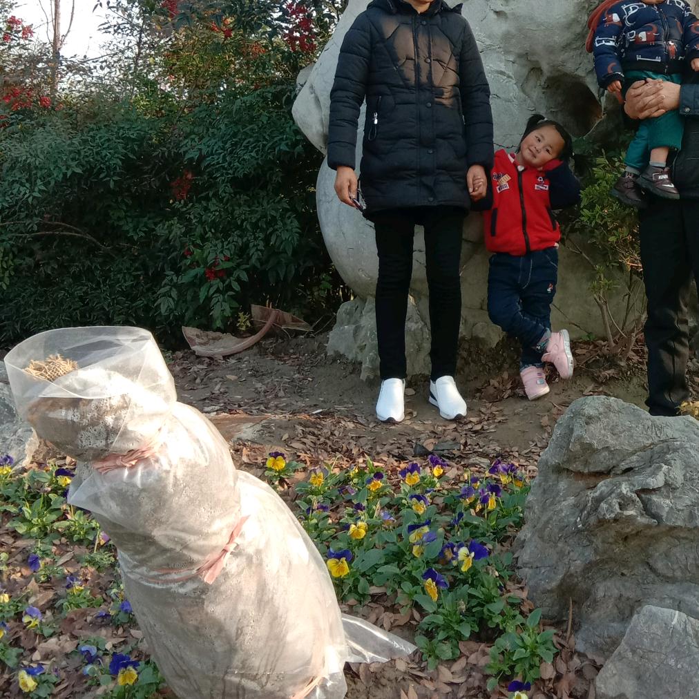幸福一家人