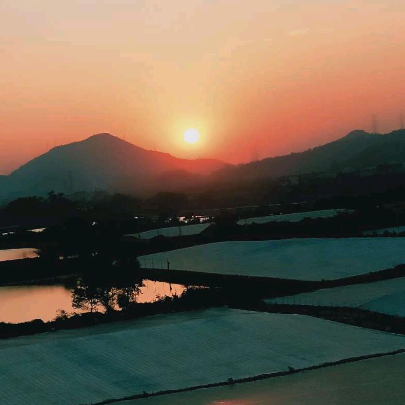 梦简简单单就好