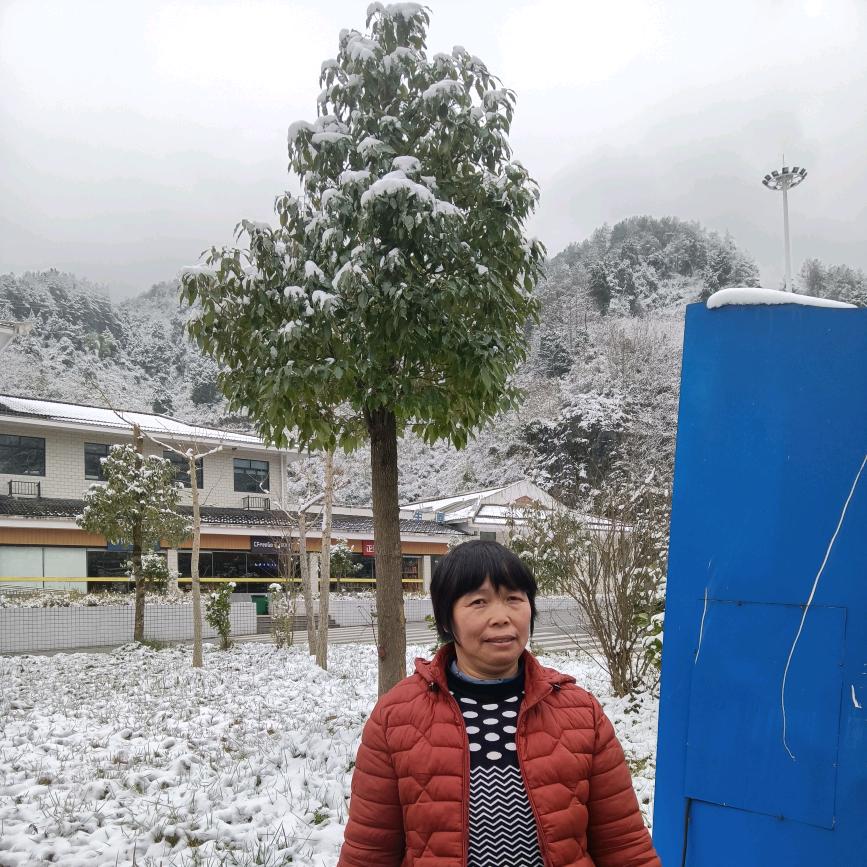 建梅