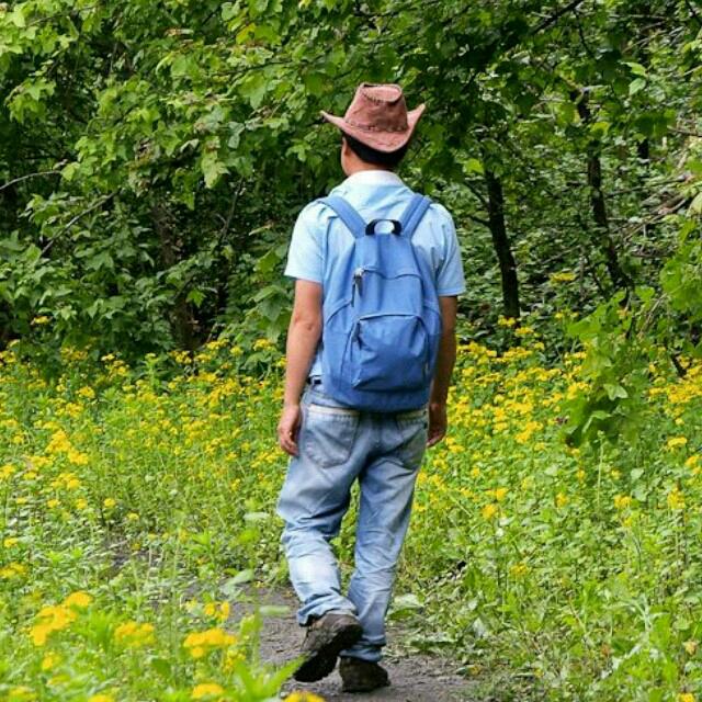 担水圳百草集锦