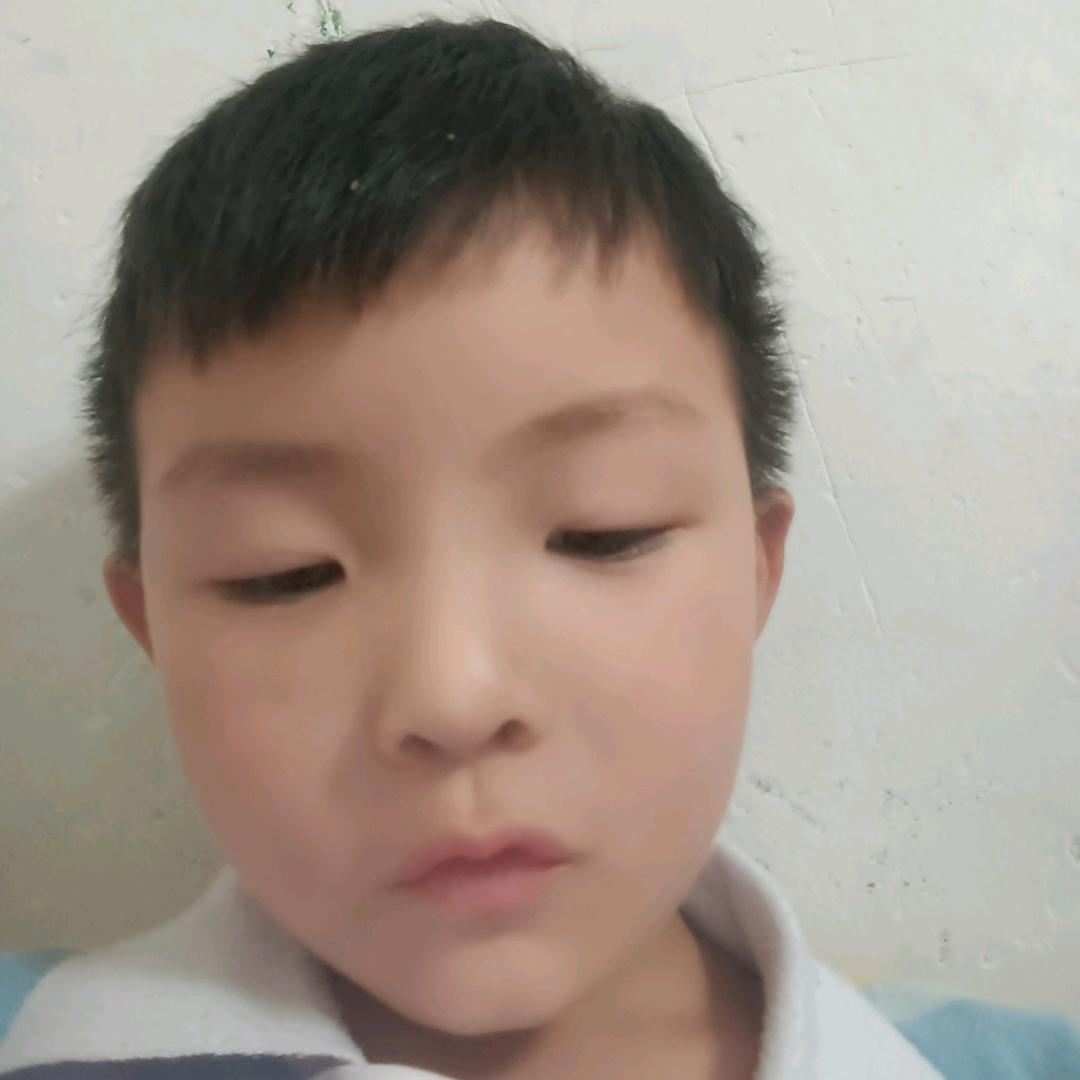 龙龙