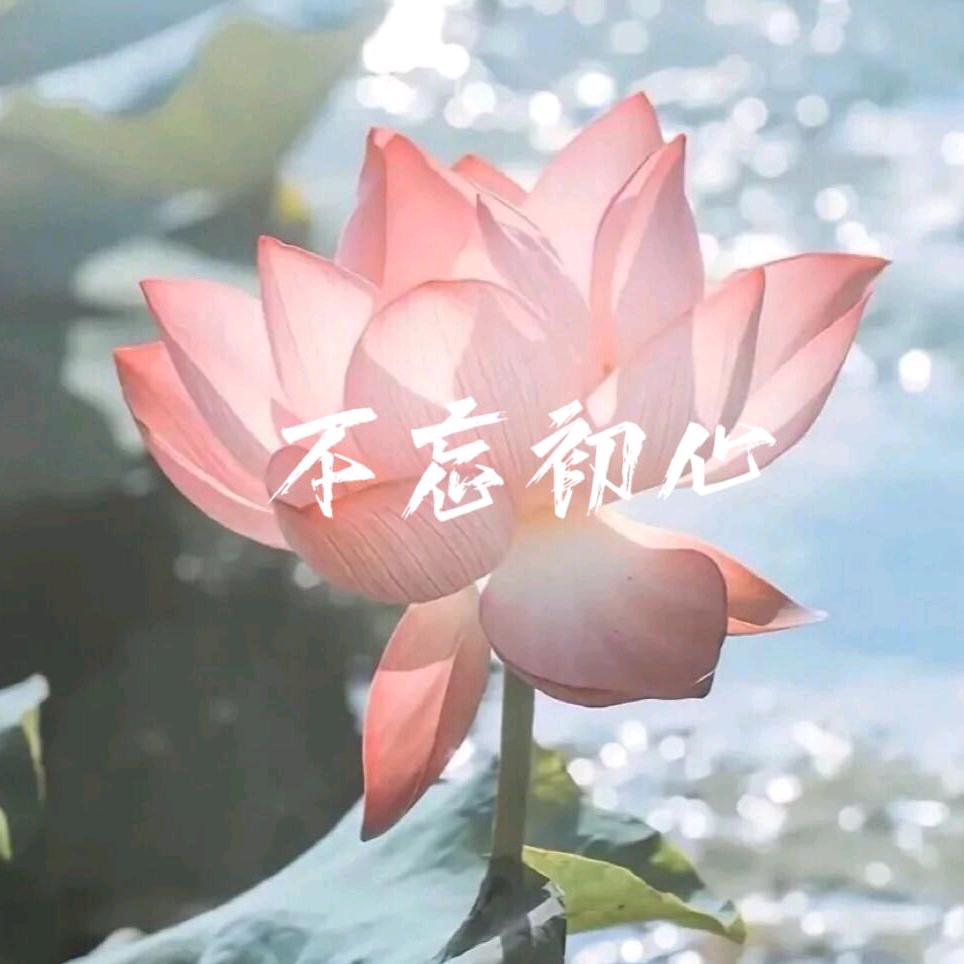 吴师傅^