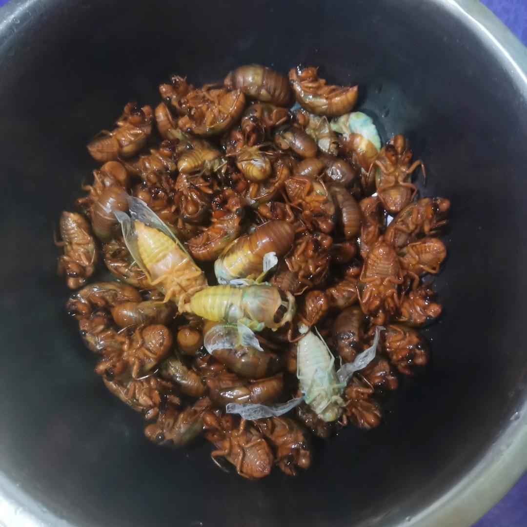 罗文铭渊
