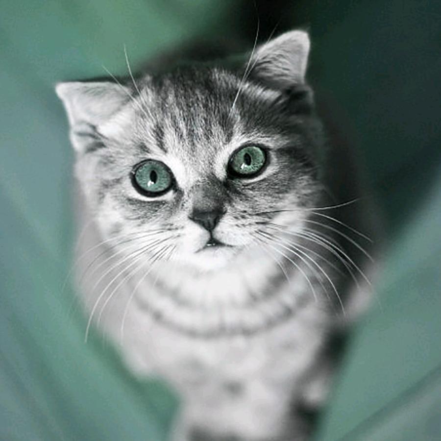 毫无道德龙某人