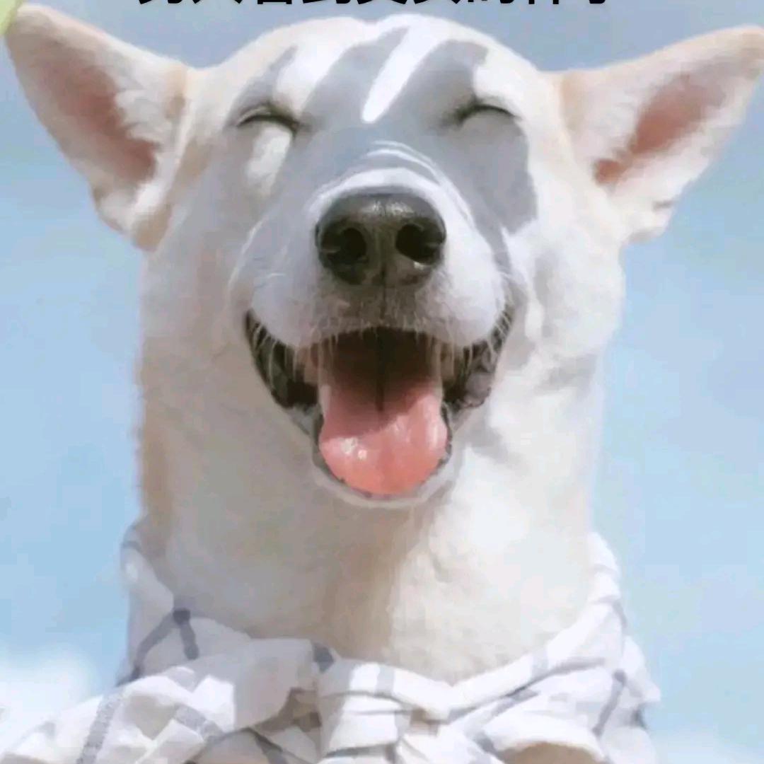 辉少