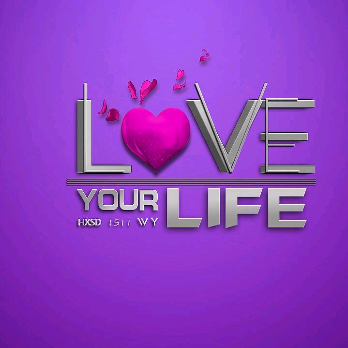 爱生活☞好物分享