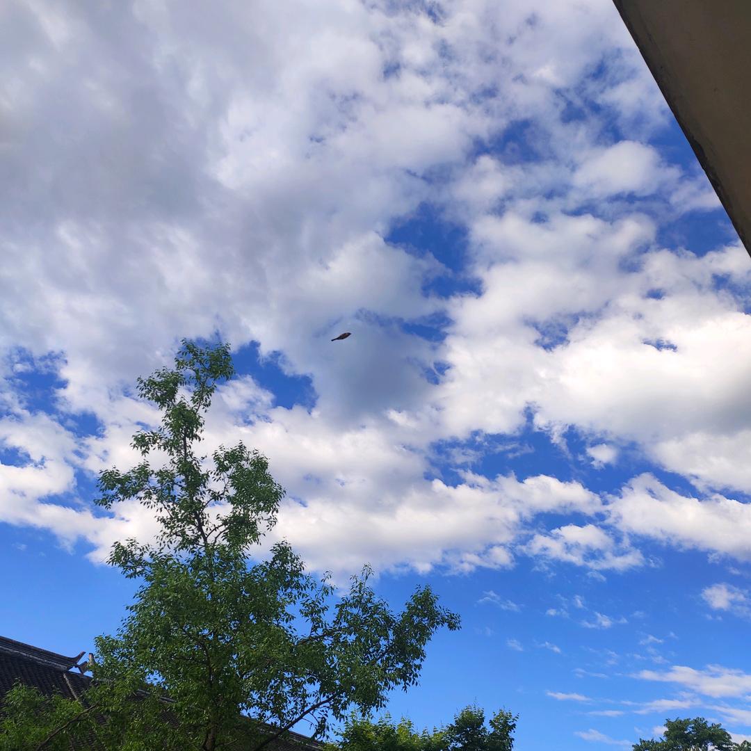 也许~~~