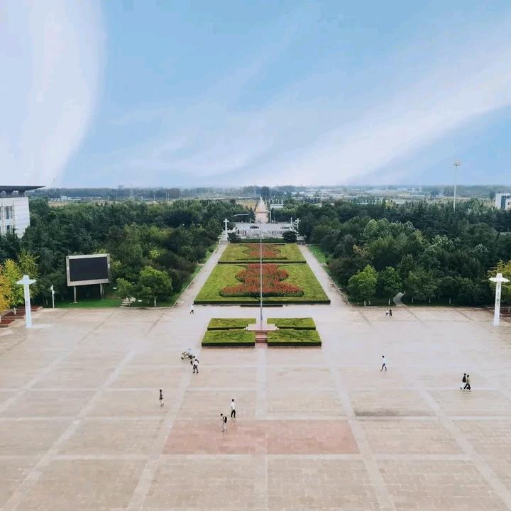 金鸡唱晓