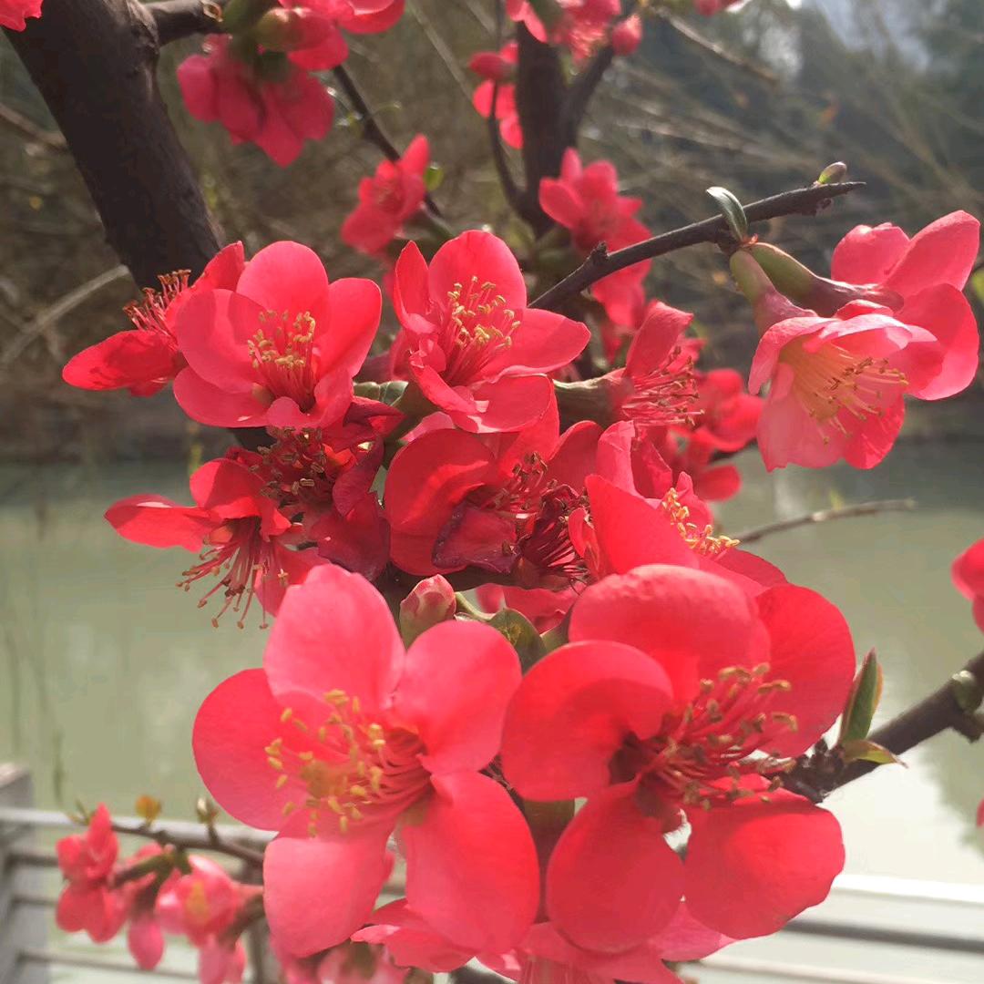 游牧时光