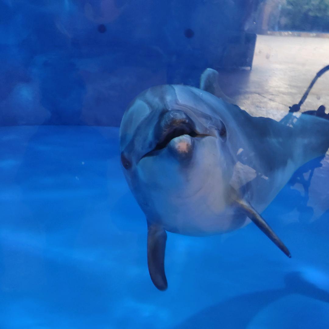 里物 严选个体店