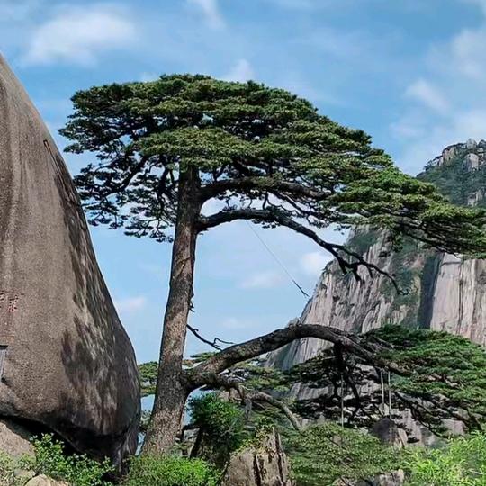 鹏程万里🇨🇳