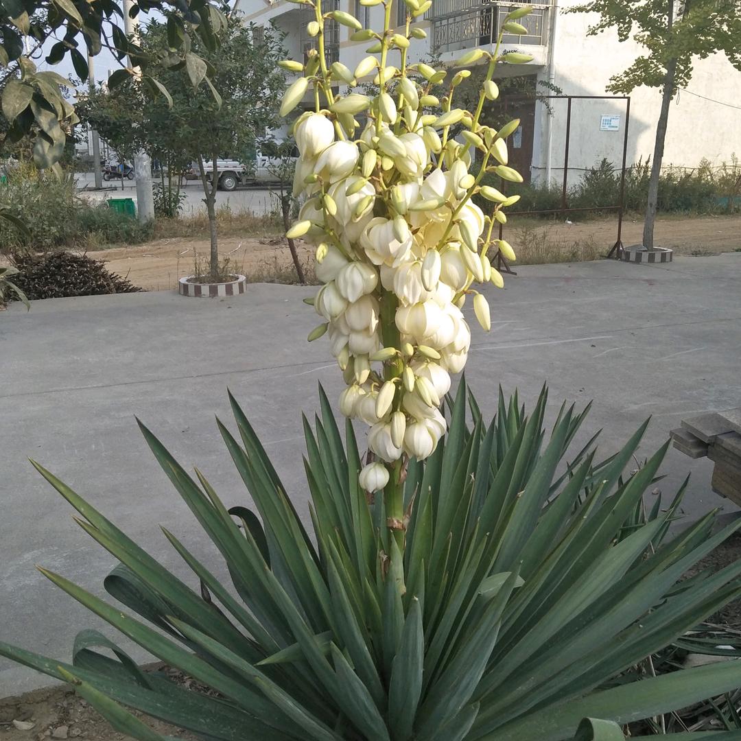 随遇🌴而安