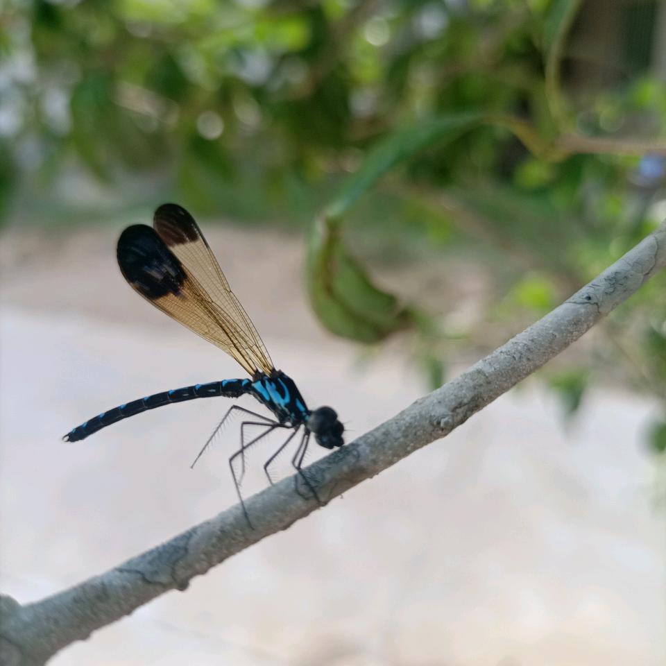 脐橙妹妹🥰🥰