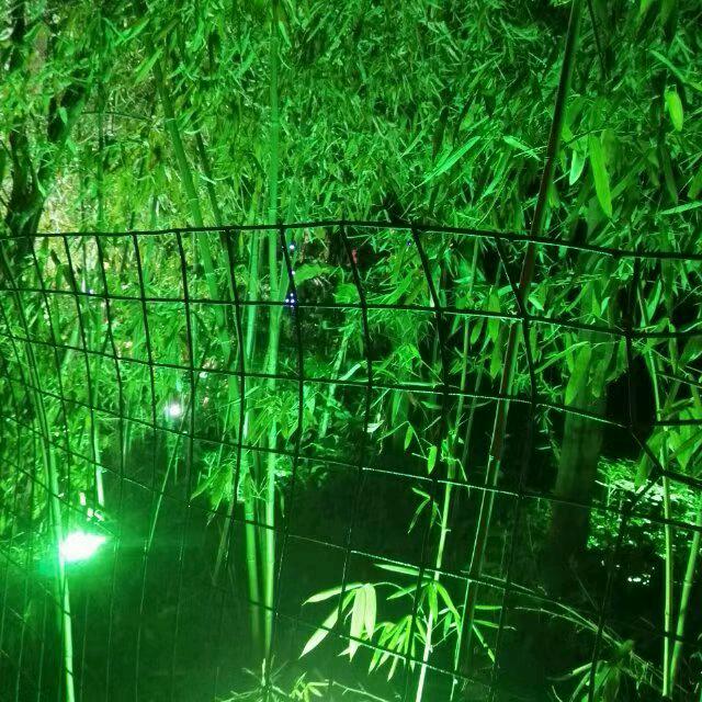 羊姐你好
