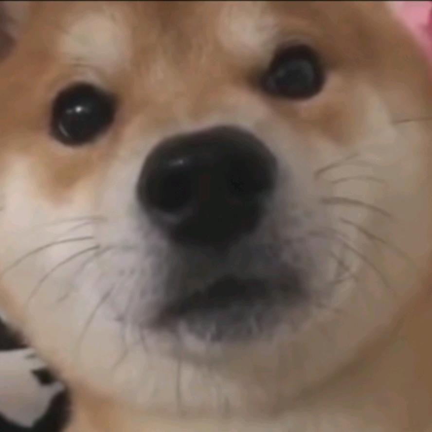 顺其孜然