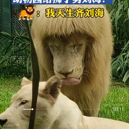 来三次
