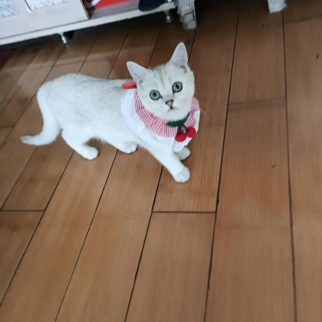 已重置