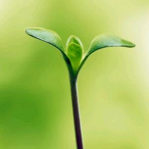 ༒࿈  ༙༙྇྇࿈ᝰℳ.Cꫝꫀꫛྋ