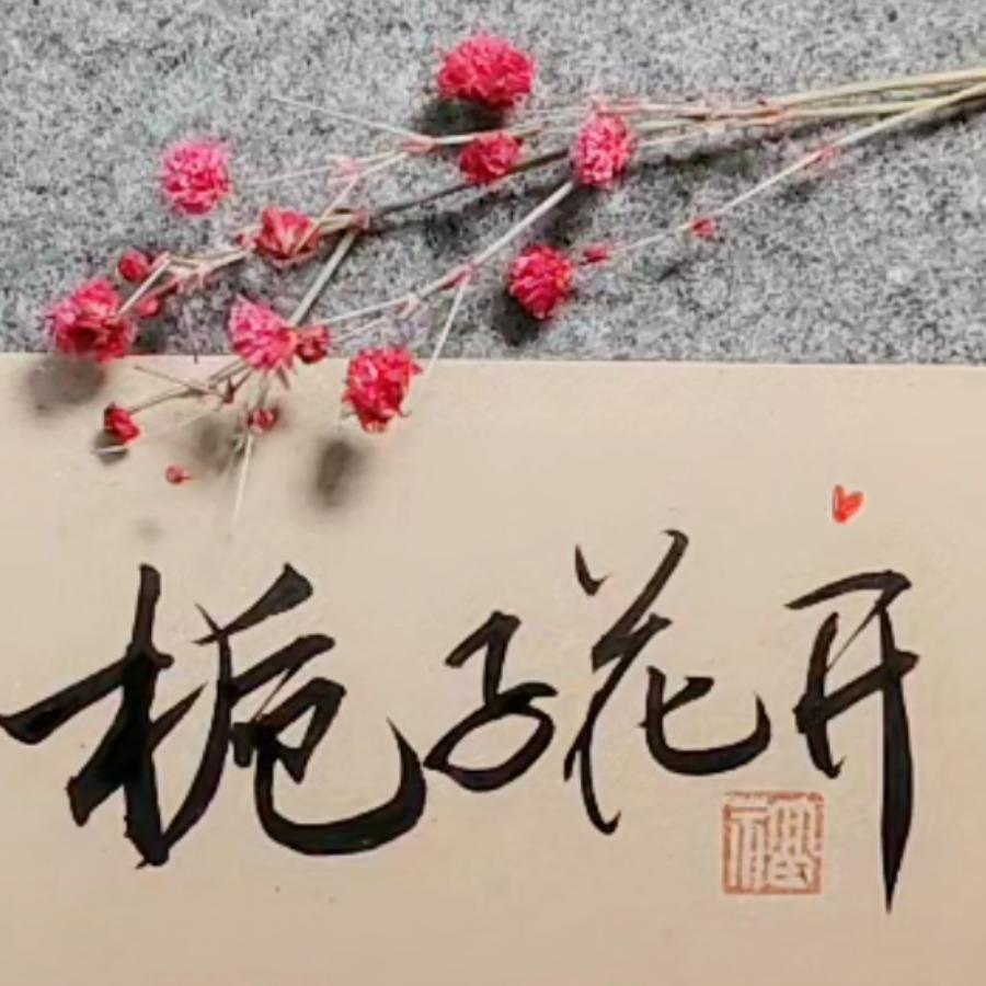 栀子花开666
