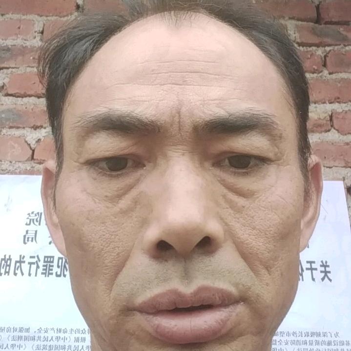 申楚旗