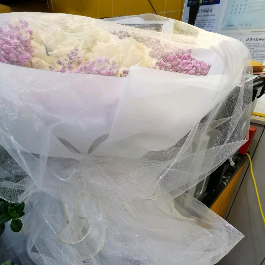 人生短短几个秋