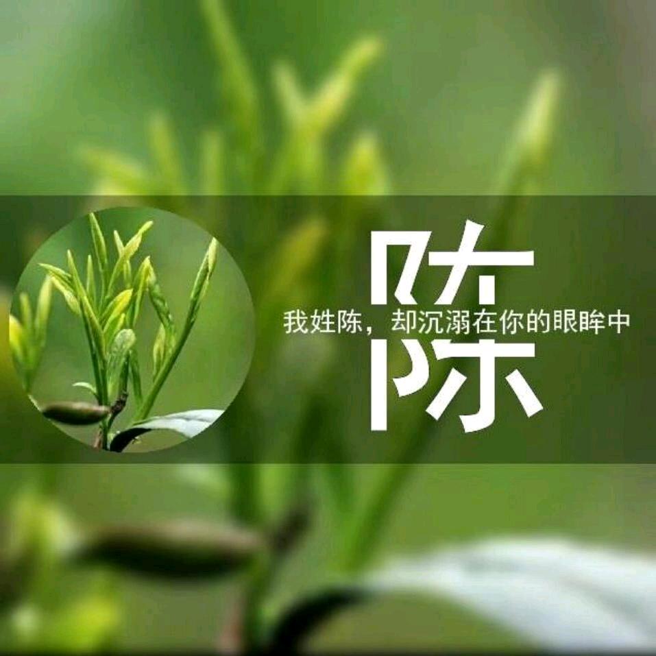 霍山县淠茗茶苑高山茶