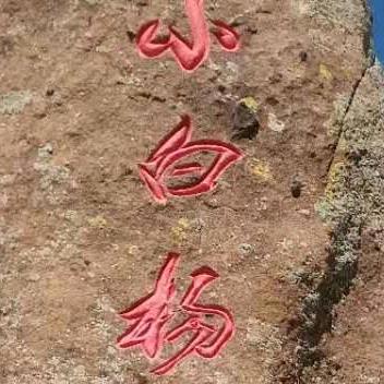 赛山别克