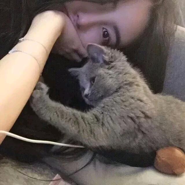 南倾@