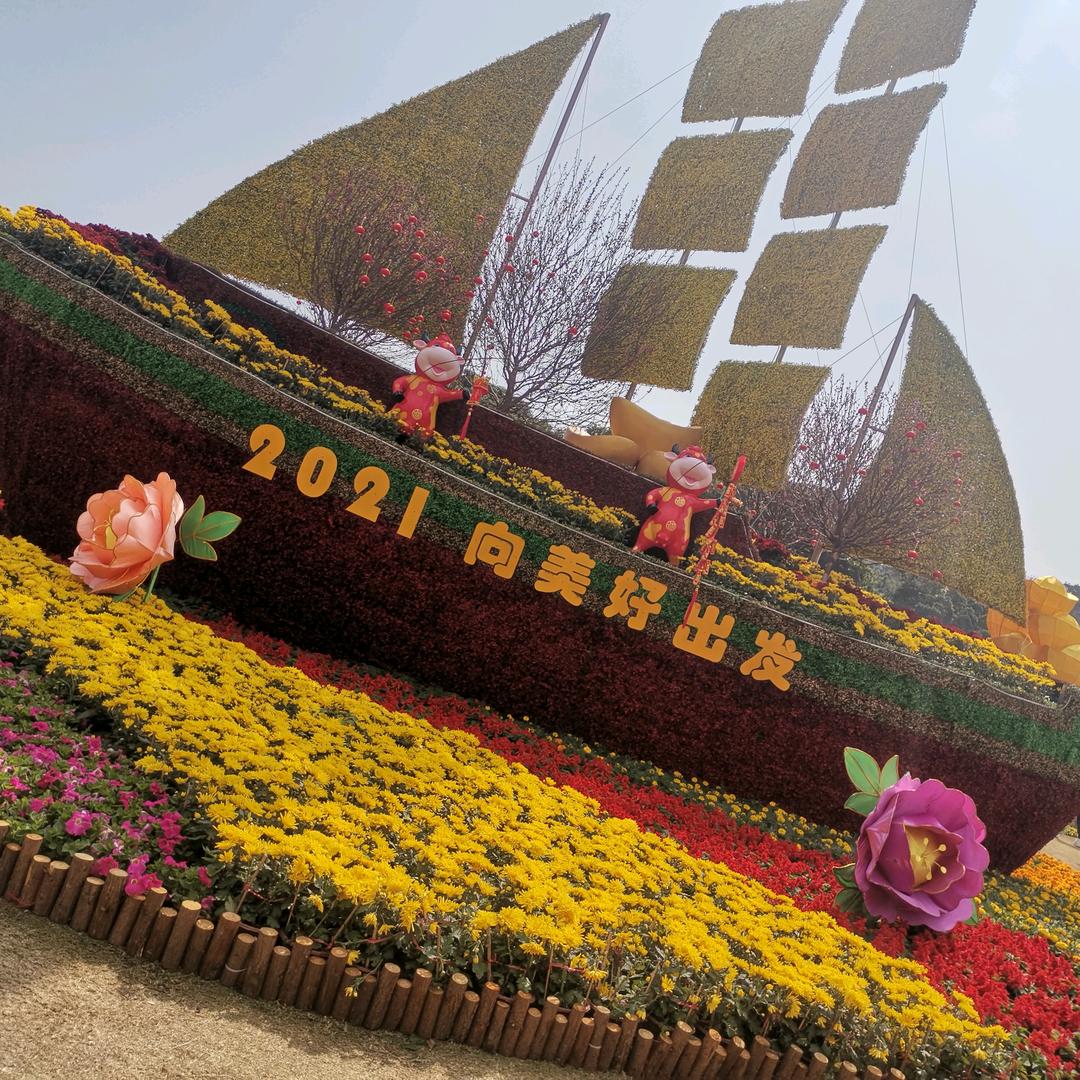 叶子花