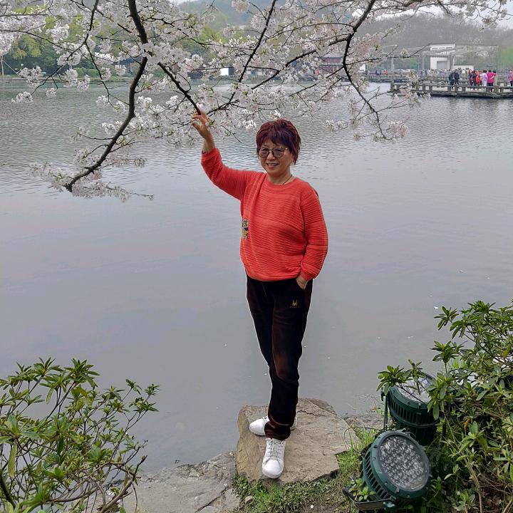 🦊梅琴