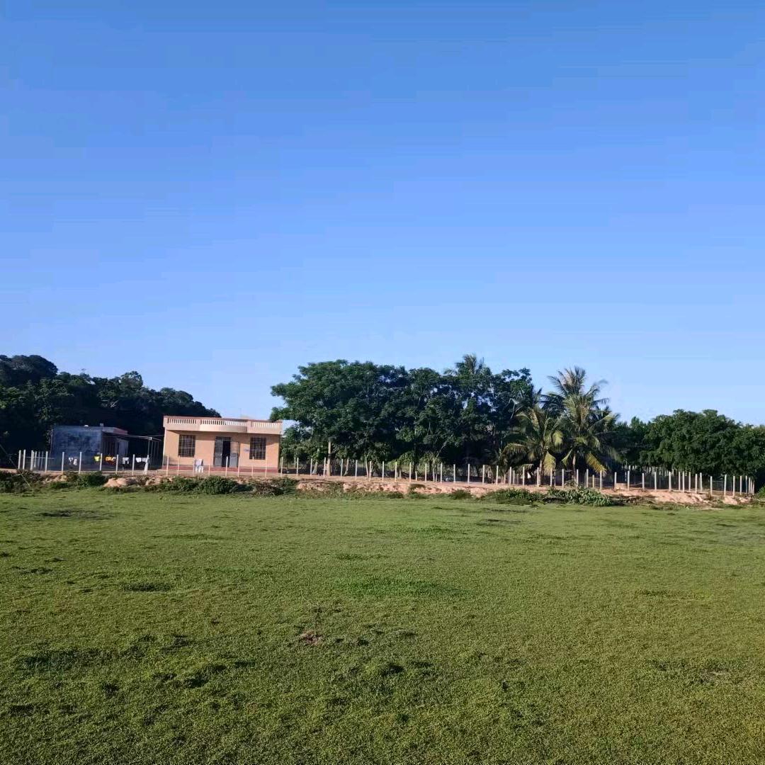 《万物山莊》笙哥哥