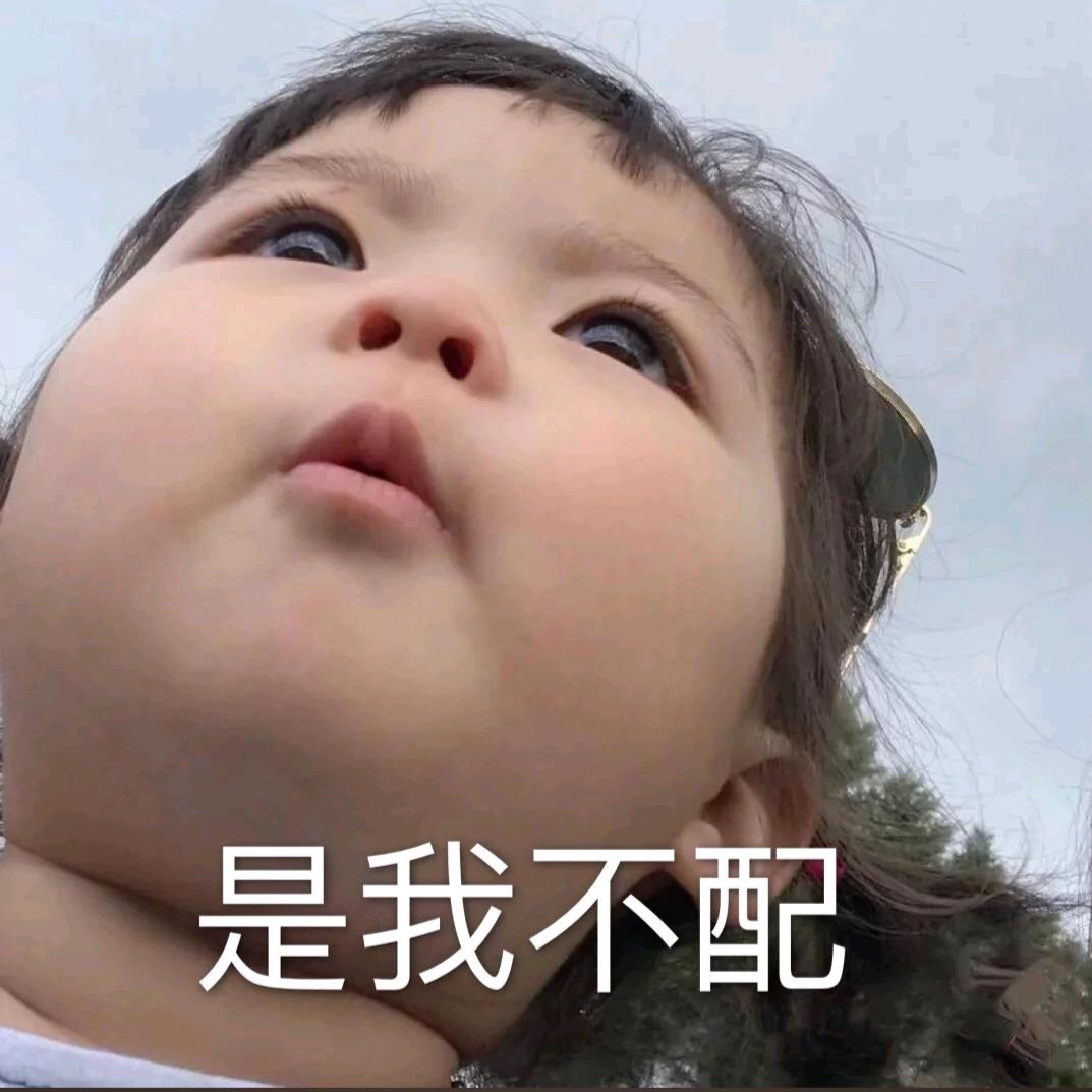 白鸽i
