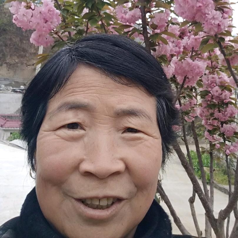董事