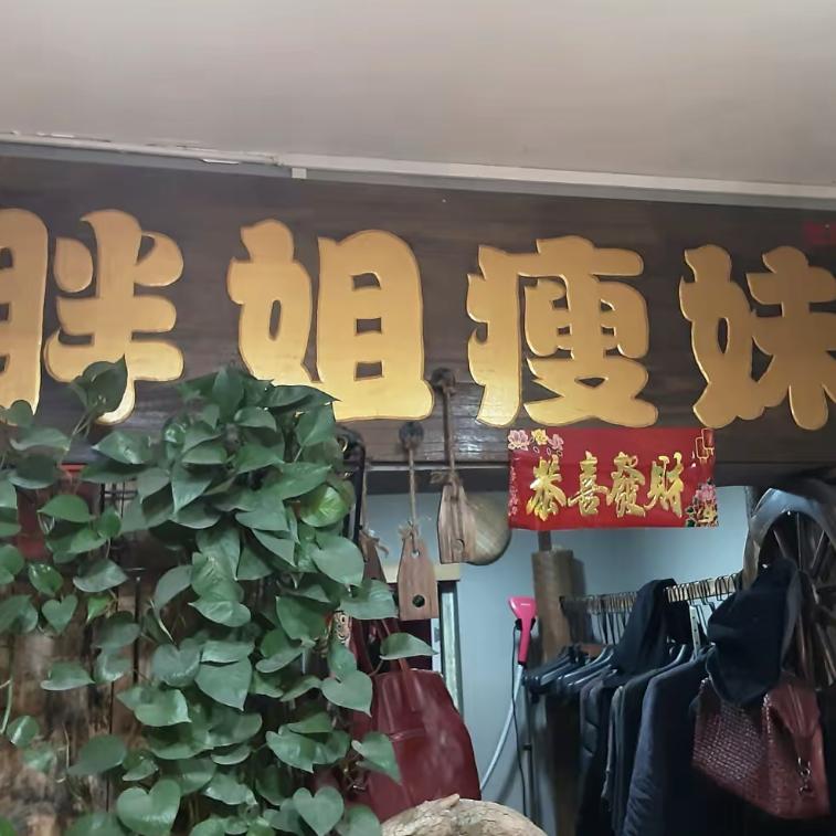 胖姐瘦妹服装店