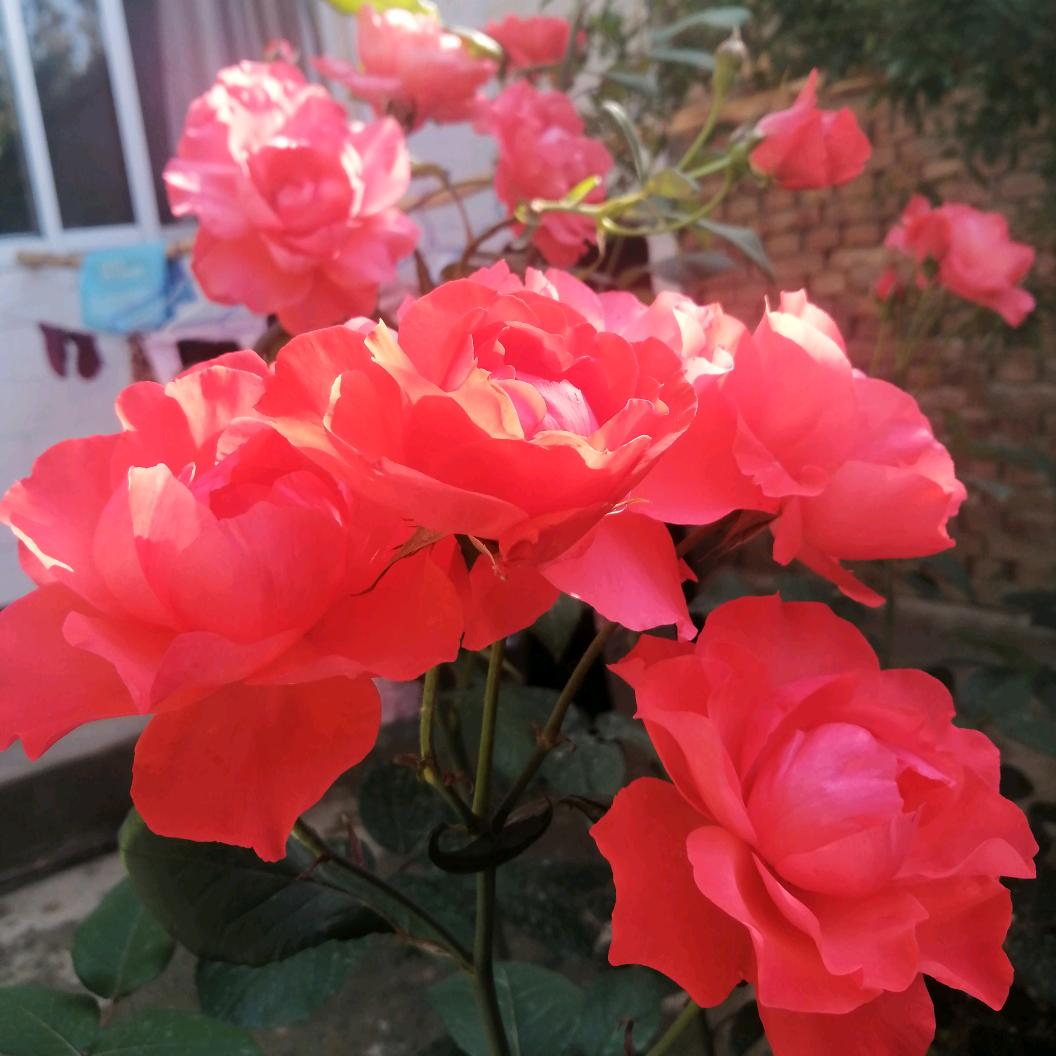 为什么？为什么？