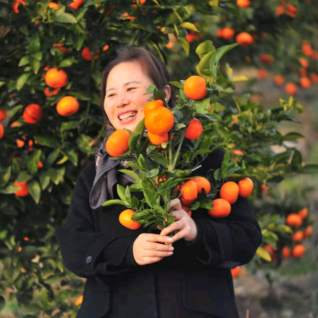 女支书干农业
