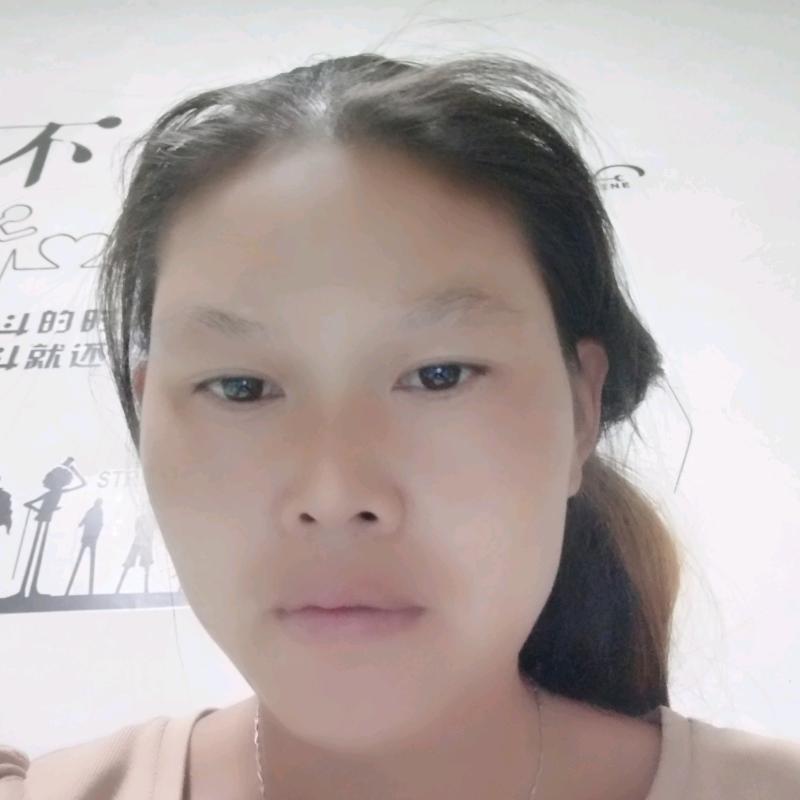 本菊