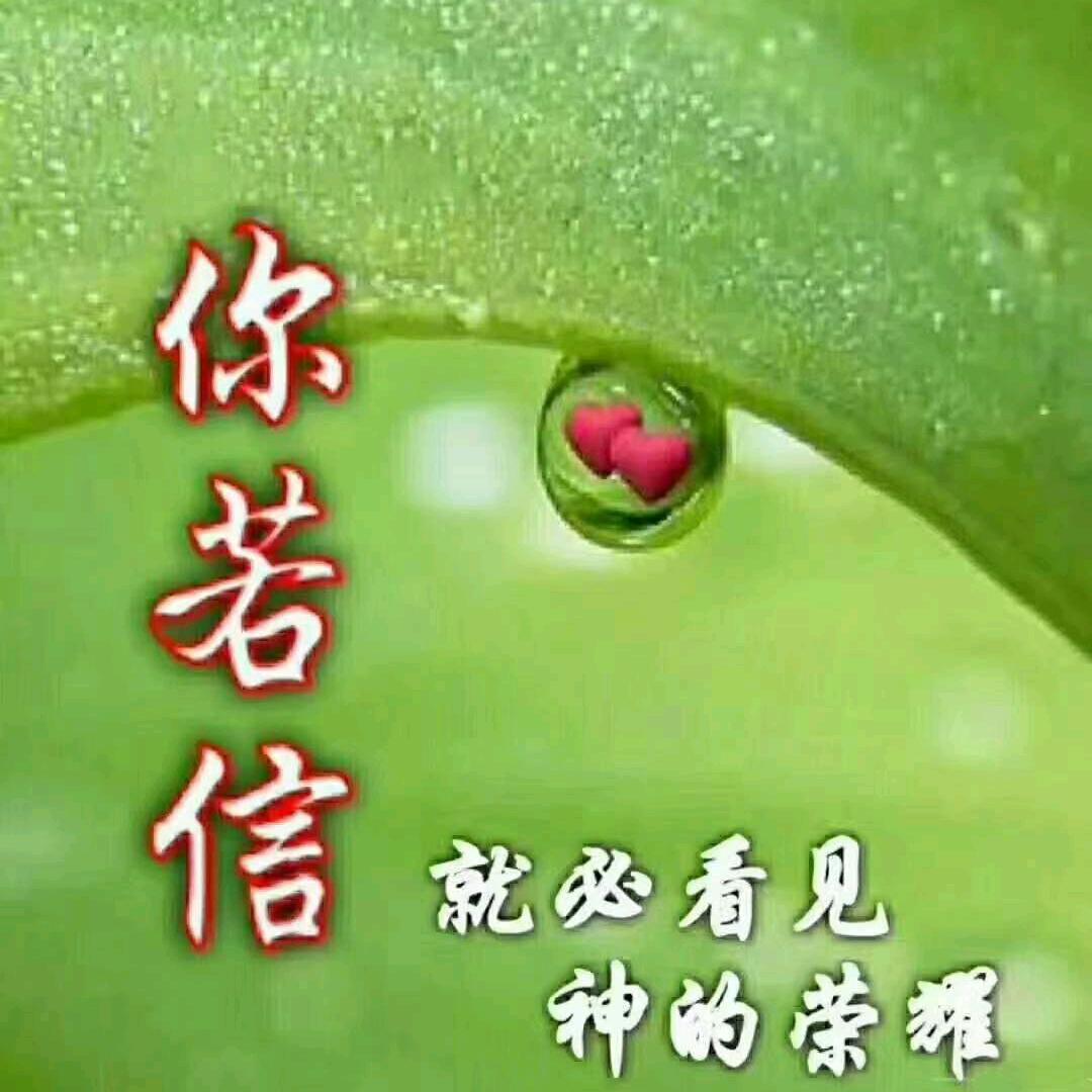 清晨之光