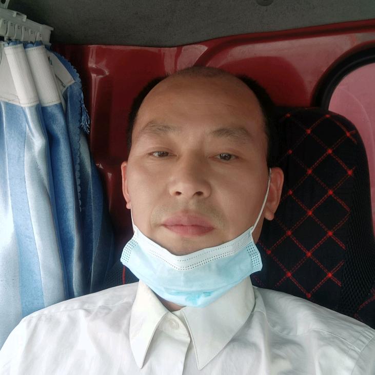 阳光普照老黄