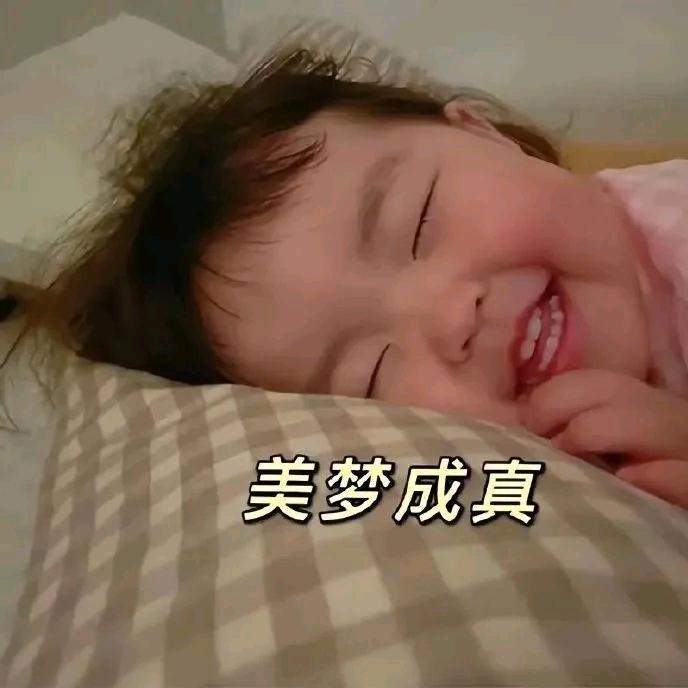 我爱你我不爱这个世界