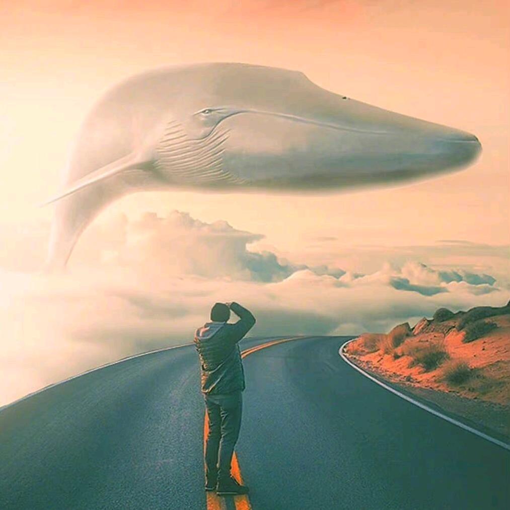 不浪先生📷。