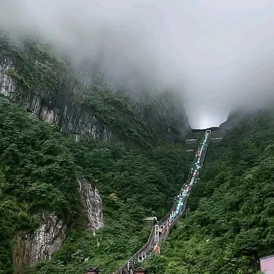 牧羊人