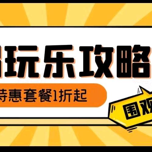 大内密探
