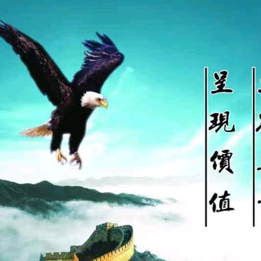 炫技王（家电维修）