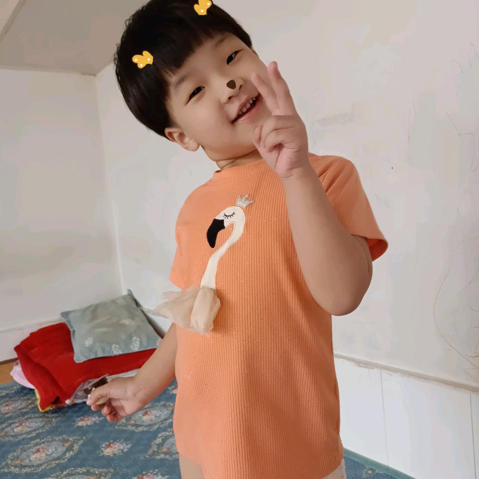 菲儿