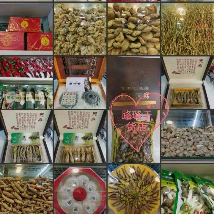 暹罗暹罗暹罗猫😊