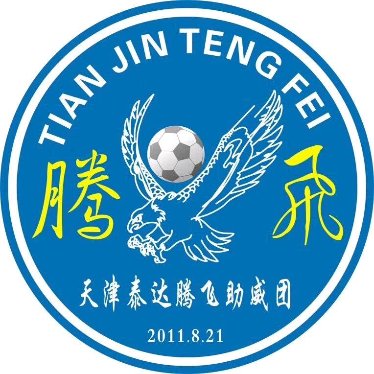 天津泰达腾飞助威团
